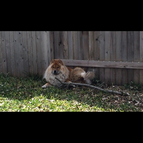 Meet your Posher, Mari - Picture 11 of 11